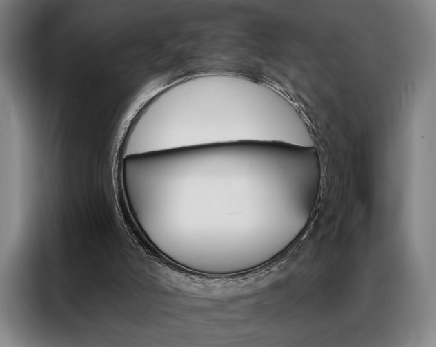 X0000088430006200705220903