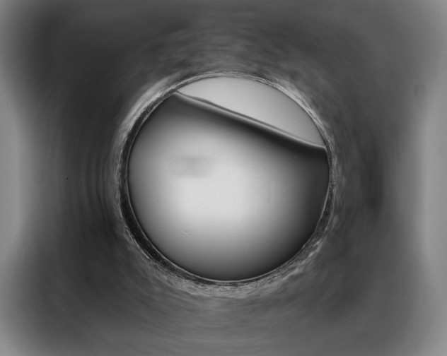 X0000088430007200705220903