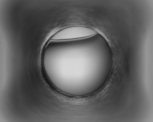 X0000088430008200705220903