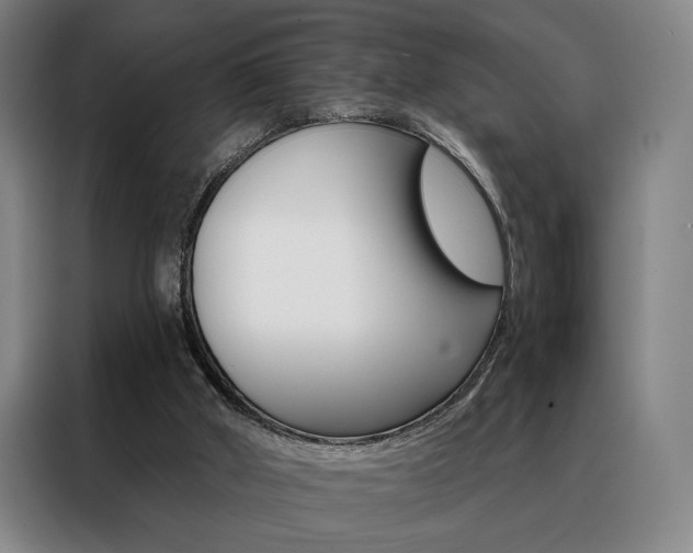 X0000088430010200705220903