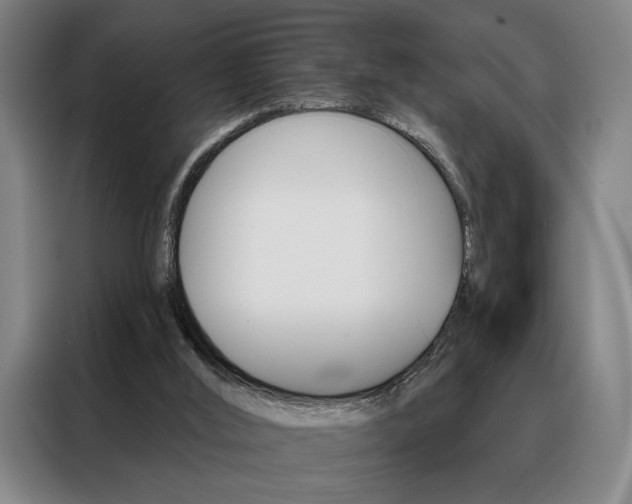 X0000088430012200705220903