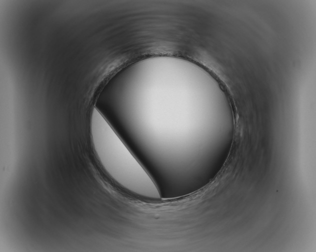 X0000088430013200705220903