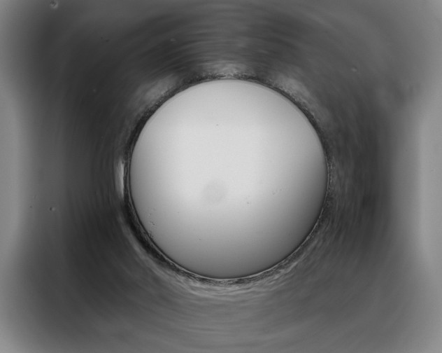 X0000088430014200705220903