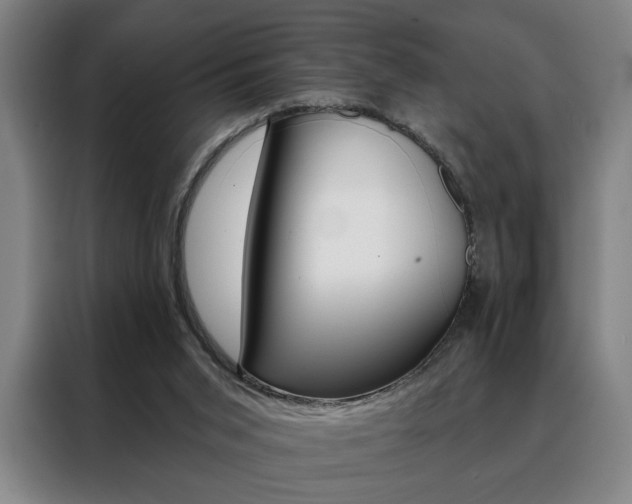 X0000088430015200705220903