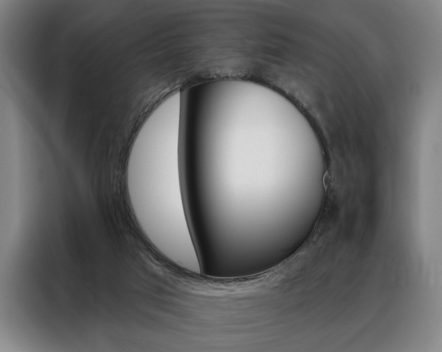 X0000088430017200705220903