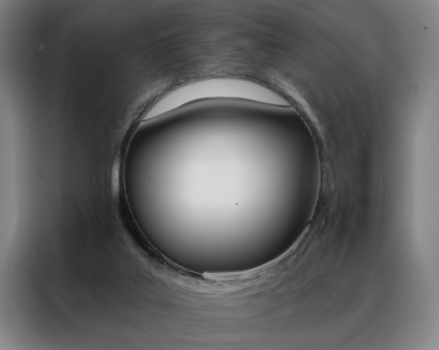 X0000088430019200705220903