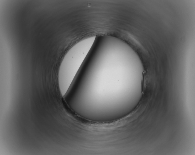 X0000088430025200705220903