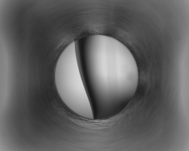 X0000088430027200705220903