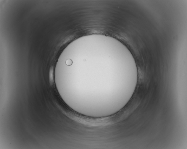 X0000088430028200705220903