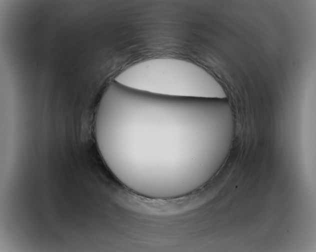 X0000088430030200705220903