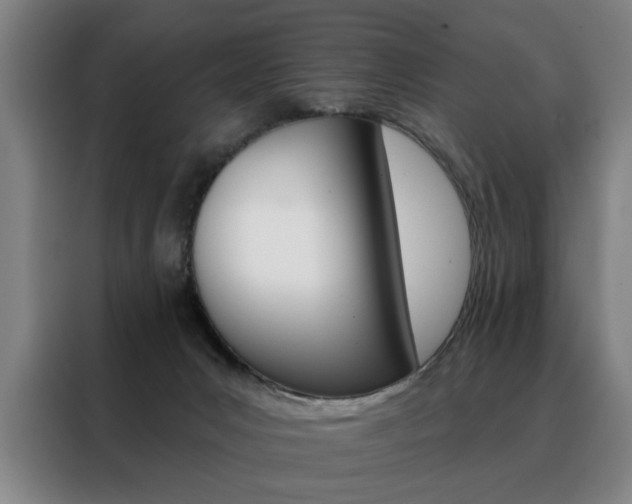 X0000088430031200705220903
