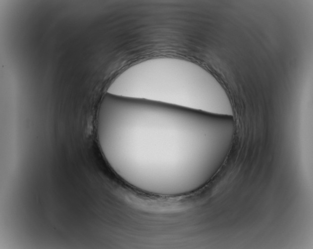 X0000088430032200705220903