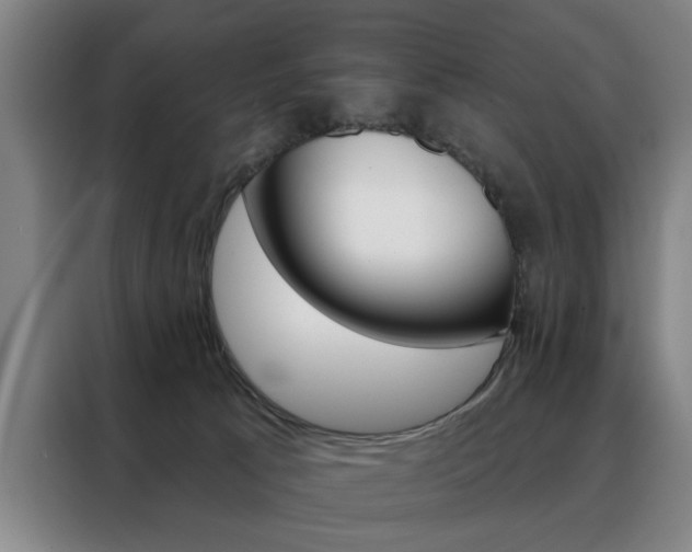 X0000088430033200705220903