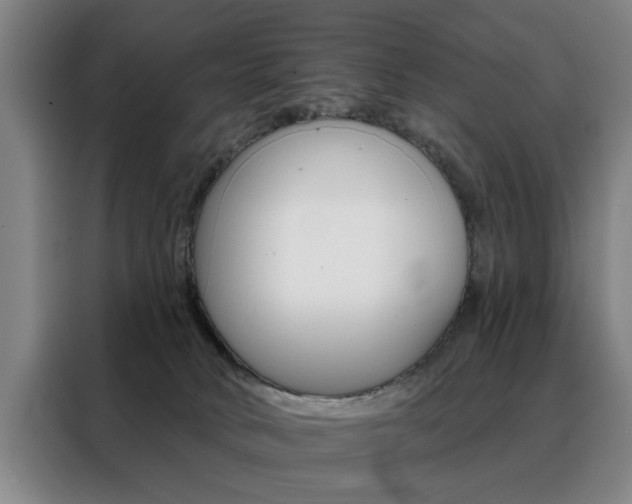 X0000088430034200705220903