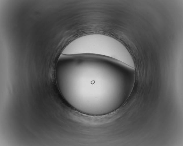 X0000088430035200705220903