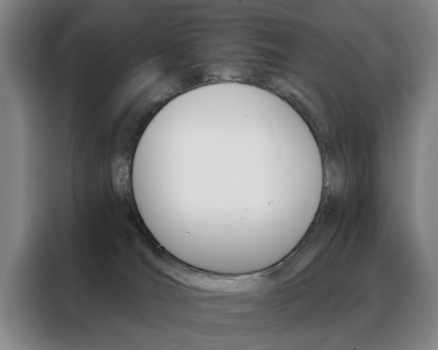 X0000088430036200705220903