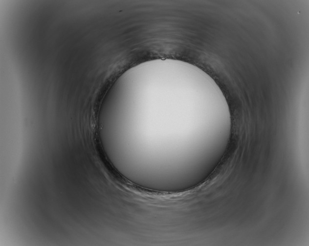 X0000088430040200705220903