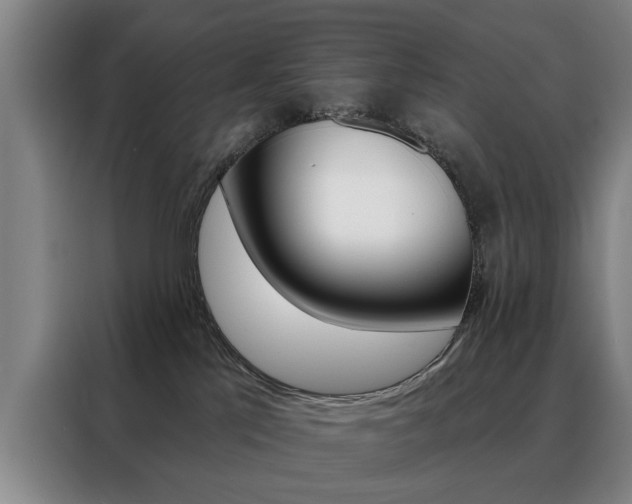 X0000088430041200705220903