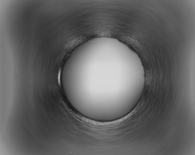 X0000088430047200705220903