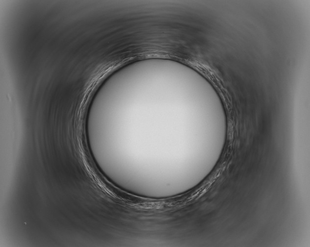 X0000088430049200705220902