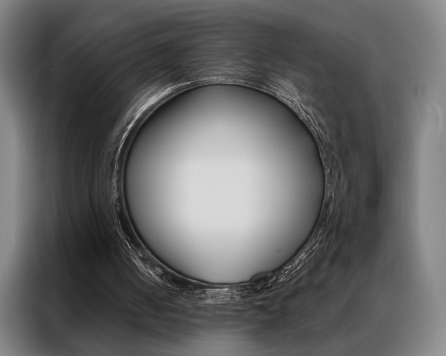 X0000088430050200705220902