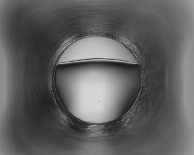 X0000088430051200705220902