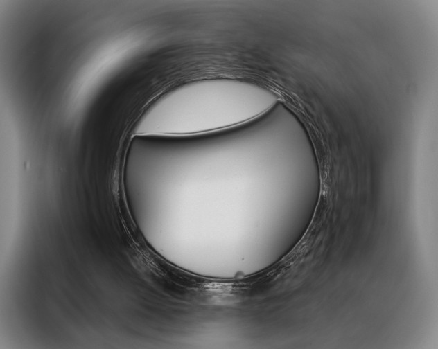X0000088430052200705220902