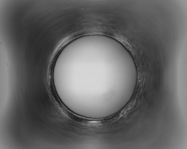 X0000088430053200705220902