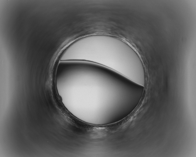 X0000088430055200705220902