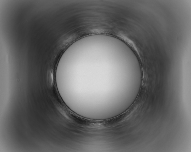 X0000088430061200705220902