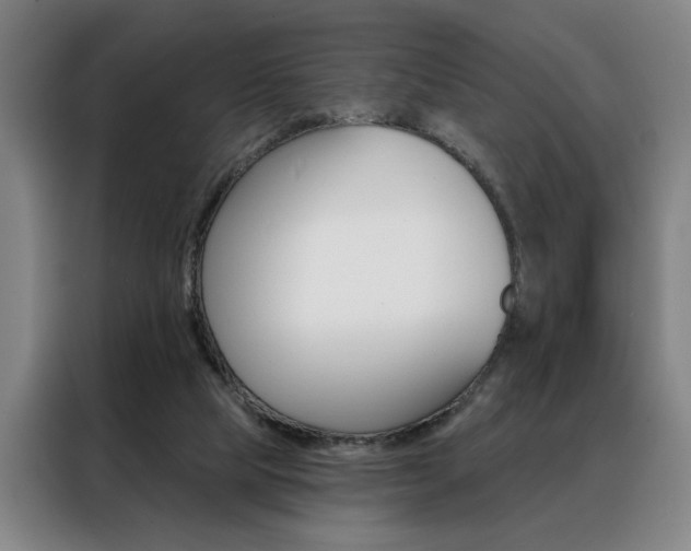 X0000088430065200705220902