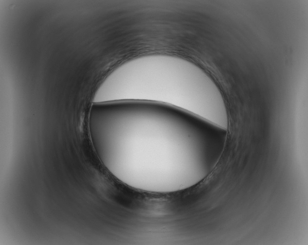 X0000088430066200705220902