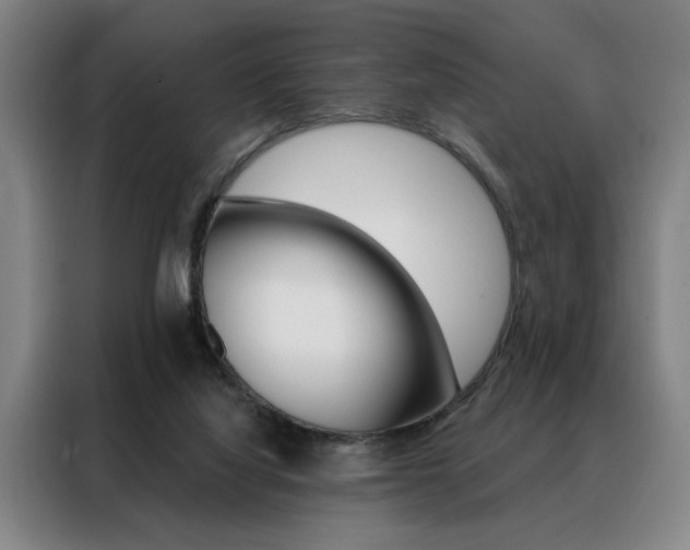 X0000088430068200705220902