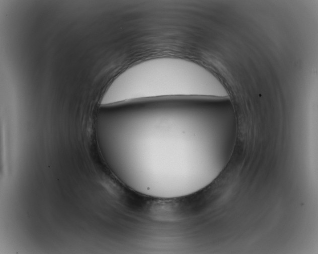 X0000088430077200705220903