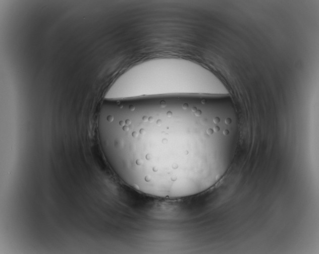 X0000088430078200705220903