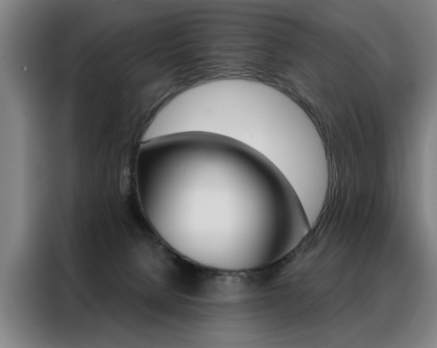X0000088430080200705220903