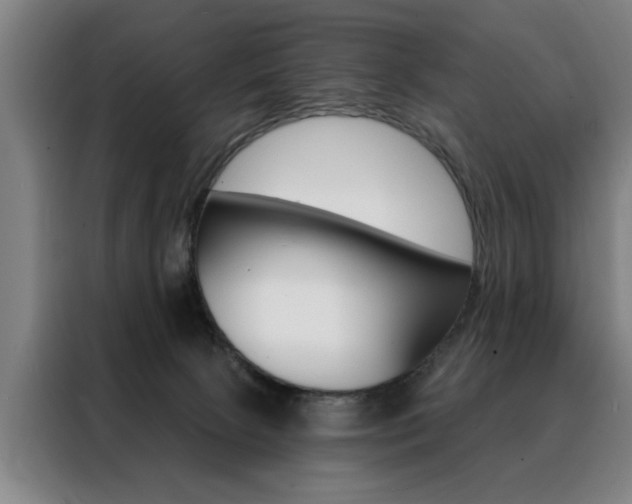 X0000088430081200705220903