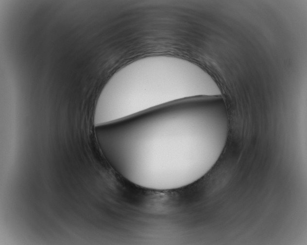 X0000088430083200705220903