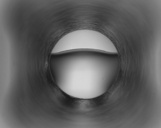 X0000088430085200705220903