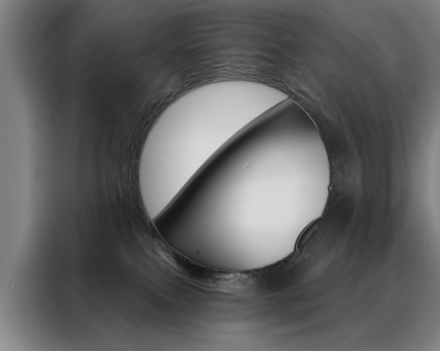 X0000088430087200705220903