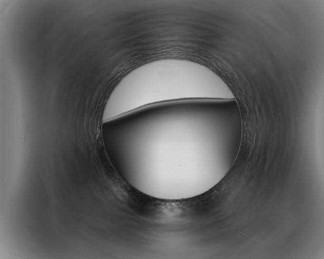 X0000088430091200705220903