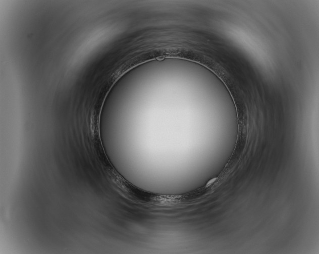 X0000088430093200705220903
