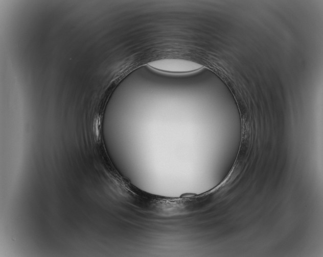 X0000088430094200705220903