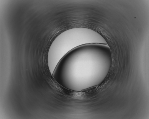 X0000088430096200705220903