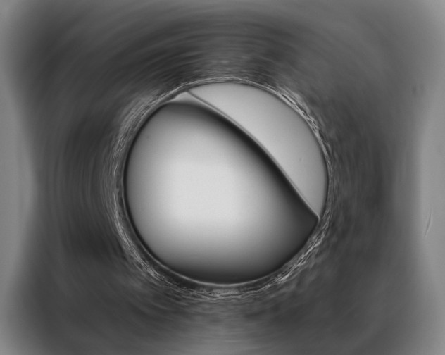 X0000088430097200705220902