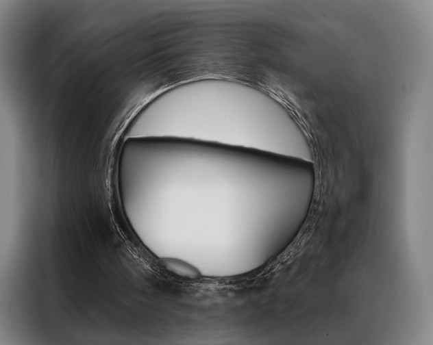 X0000088430098200705220902