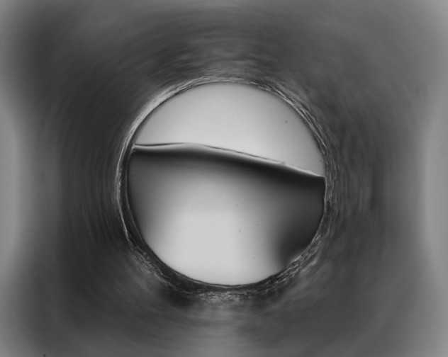 X0000088430100200705220902