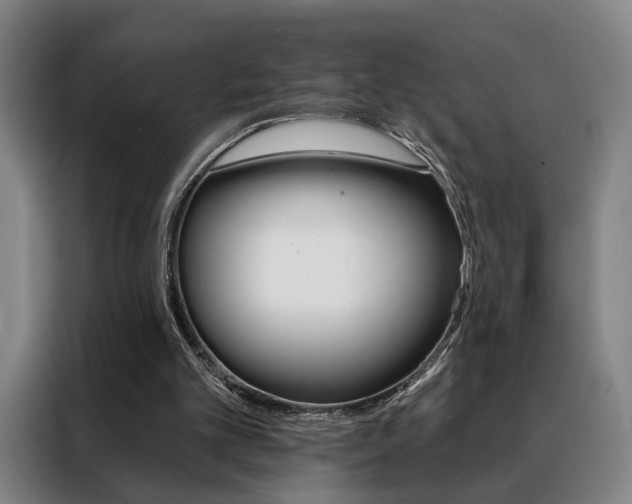 X0000088430101200705220902