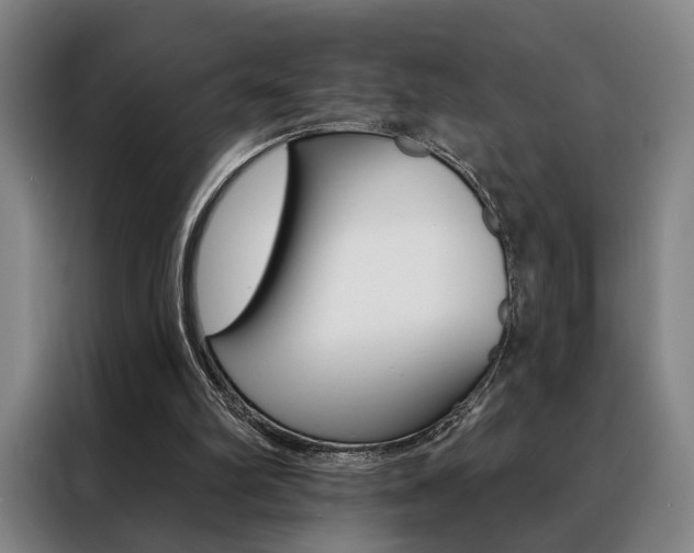 X0000088430102200705220902