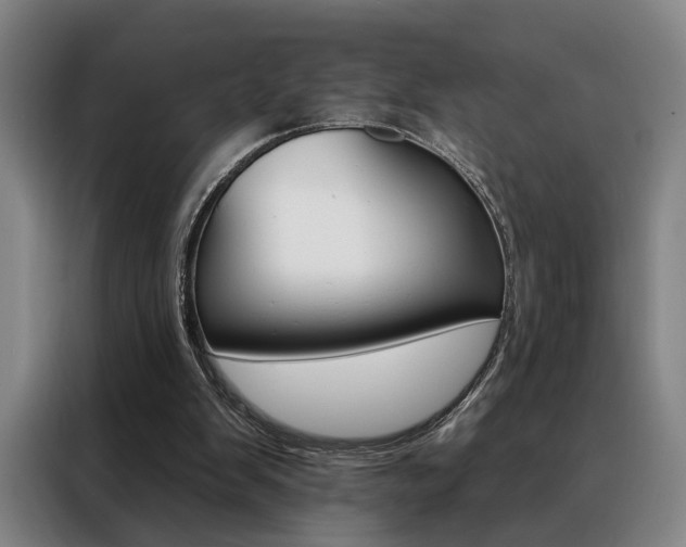 X0000088430103200705220902